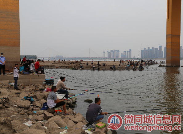 武汉江边众多游客垂钓被查