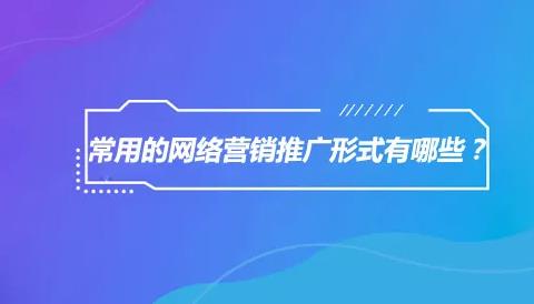 漳州速推发布信息网，食品饮料seo推广b2b分类信息网