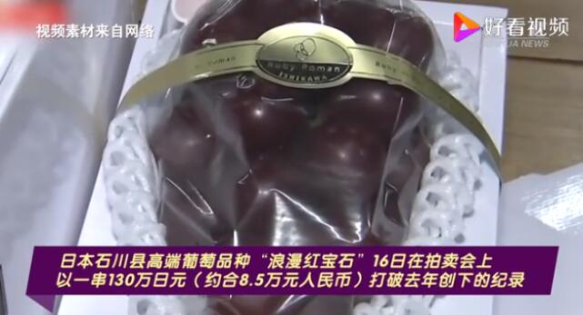 日本天价葡萄一串8.5万元是什么品种？浪漫红宝石葡萄价格