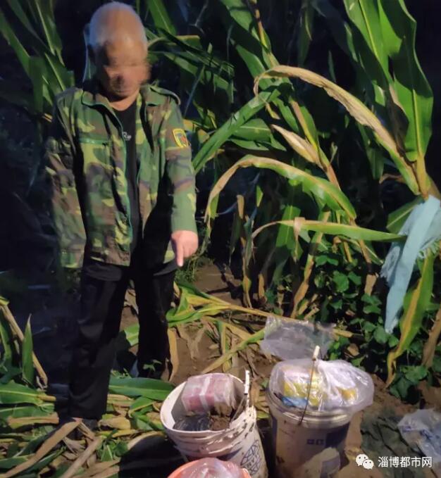 精彩！夜色中，淄博一玉米地里挖出250万元现金！
